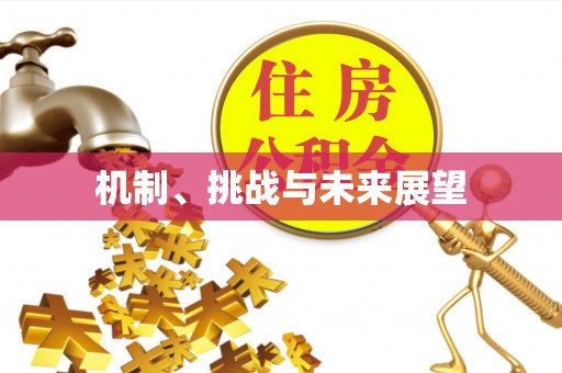 从江机制、挑战与未来展望