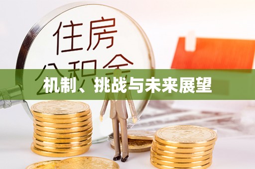 从江机制、挑战与未来展望