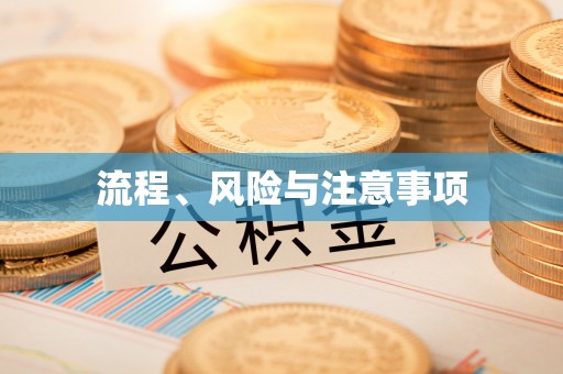 从江流程、风险与注意事项