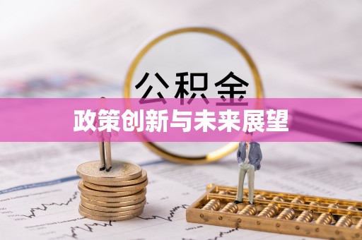 从江政策创新与未来展望