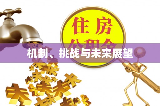 从江机制、挑战与未来展望
